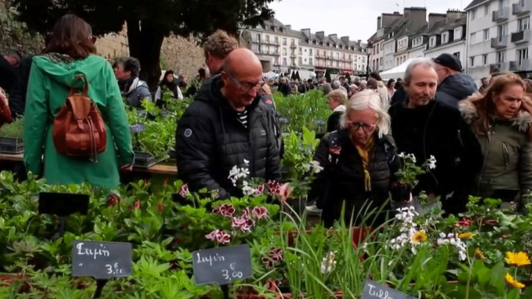 plant exchanges, a good plan to buy cheaper?