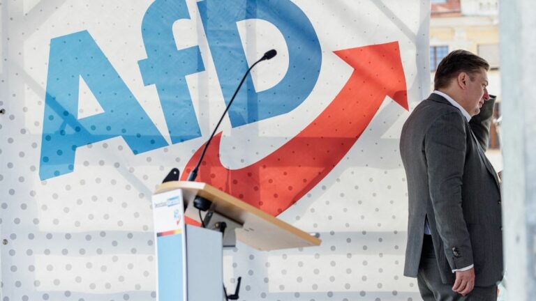 the German far-right party AfD bans its head of list from all electoral meetings