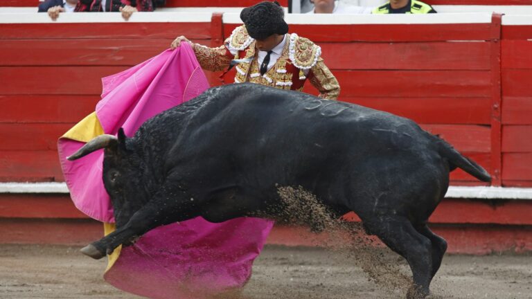 the House of Representatives takes the blow to bullfighting