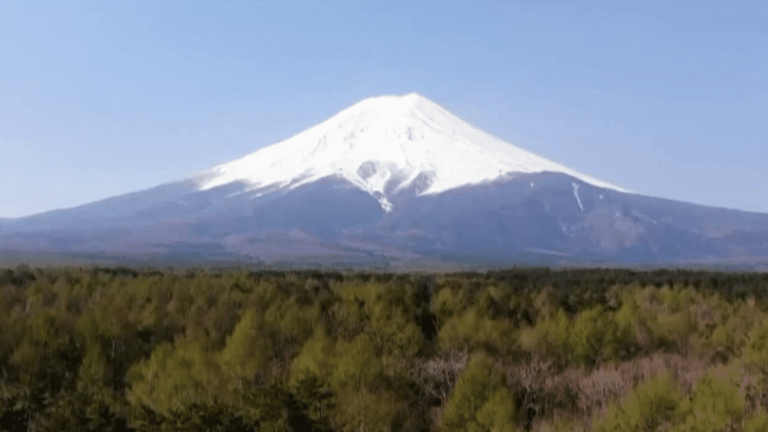 the Japanese authorities want to fight against the crowds