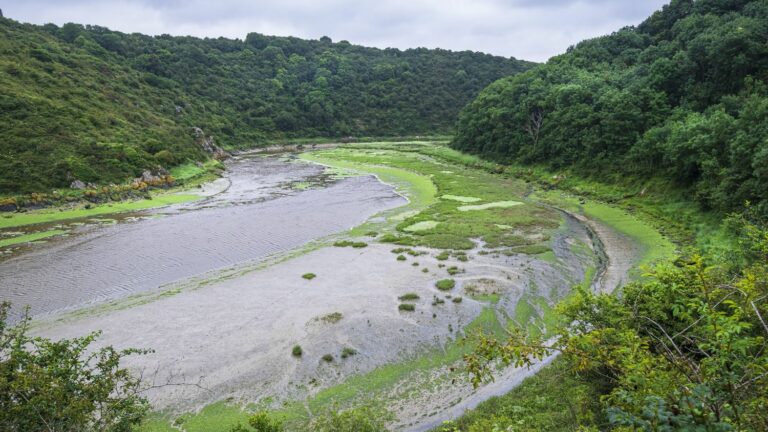 the biodiversity of French waterways is threatened, warns WWF