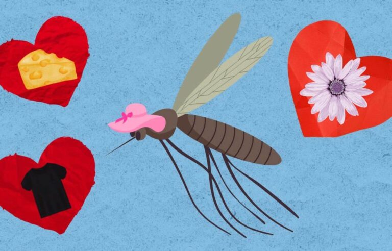 4 surprising facts about mosquitoes