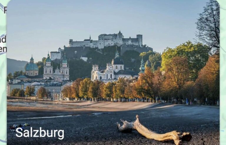 An Austrian NGO warns of the consequences of climate change with doctored images on Google Maps