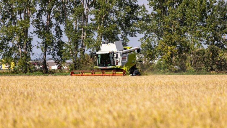 An Indian seasonal worker in Italy, victim of a work accident, dies after being abandoned by his employer