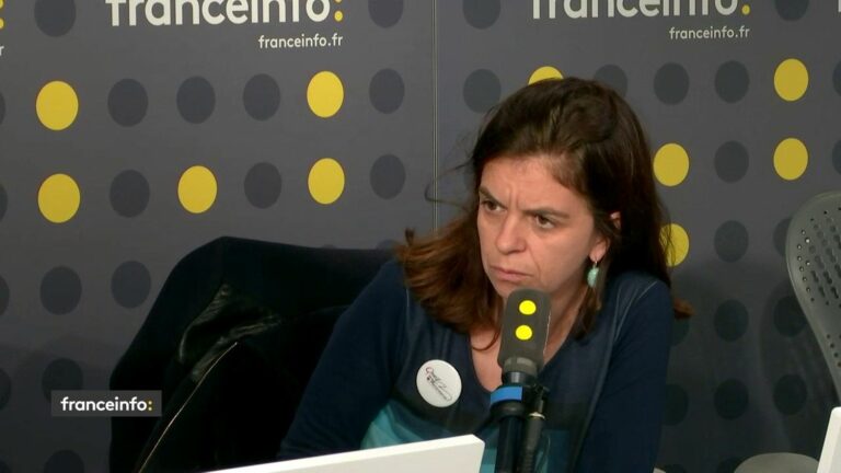 “Beyond the Quatennens case, this rule of exemplarity applies to all parties,” underlines Céline Piques, spokesperson for Dare to Feminism!