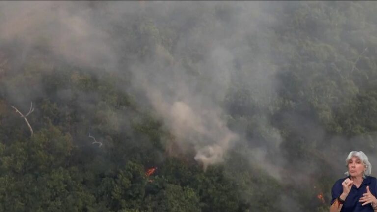 Biodiversity sanctuary ravaged by flames