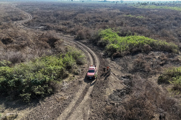 Brazil |  Record fires in the largest wetland on the planet