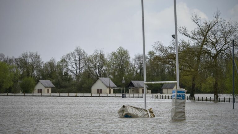 Faced with the risk of seeing “great nations disappear”, World Rugby publishes a report on the climate “in contradiction with spectator sport”