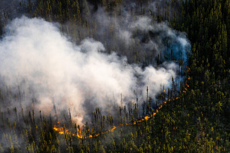 Fewer forest fires in Quebec than on this date last year