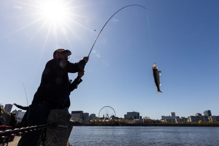 Fishing in Quebec |  First fish for beginner anglers