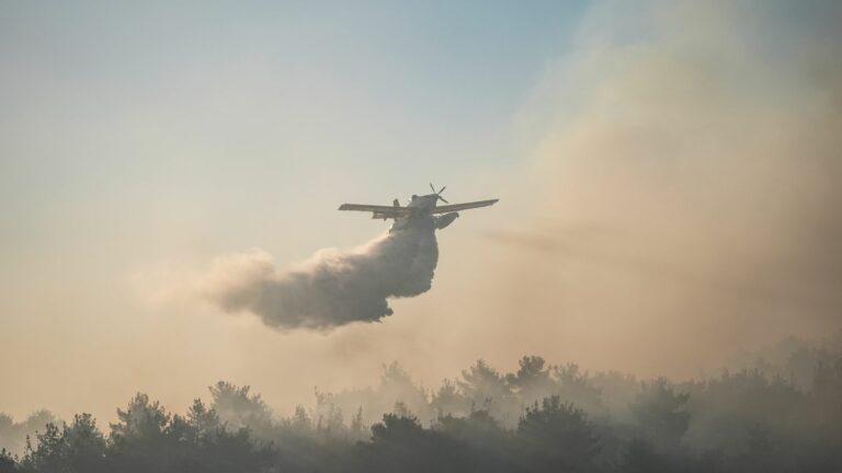 Forest fires kill five and injure dozens in Türkiye