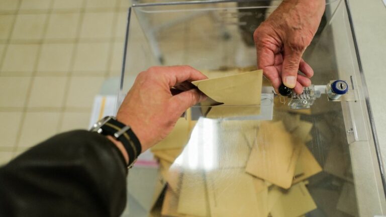 France Insoumise announces that it has filed an appeal with the Constitutional Council against the freezing of electoral lists