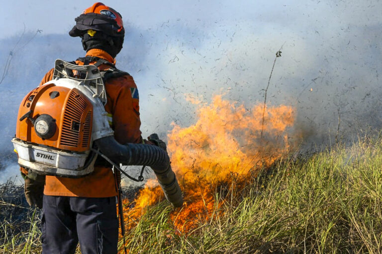 Extreme wildfires |  Twice as frequent for two decades