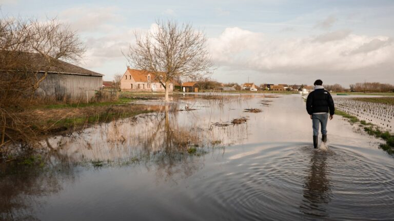 “If temperatures drop in 2025, that does not mean that we no longer have to worry,” argues climatologist Robert Vautard