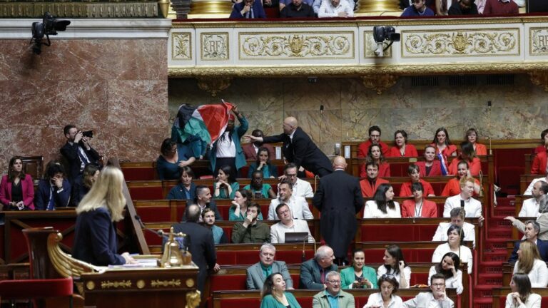 LFI MP Rachel Keke brandishes a Palestinian flag in the National Assembly, the session suspended