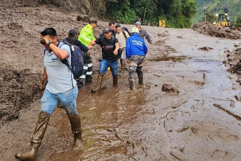 Landslides kill eight people in Ecuador