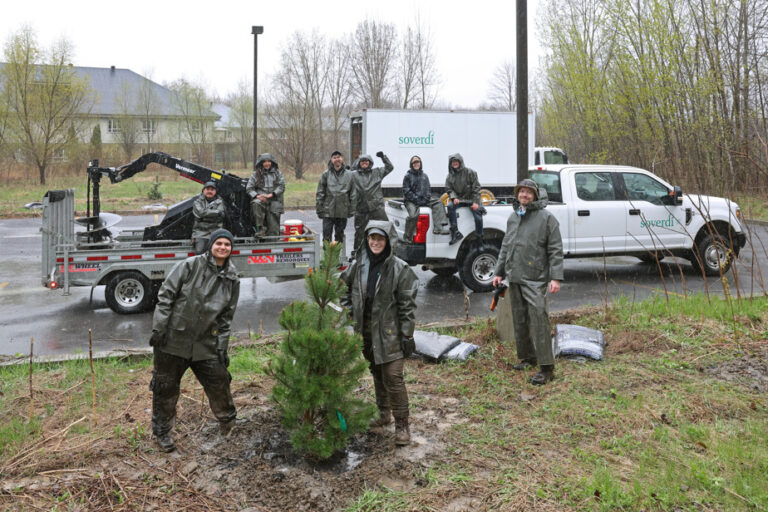 Life, the city |  La Soverdi: those who plant trees