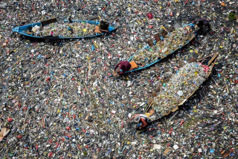 Microplastics could increase the risk of non-communicable diseases