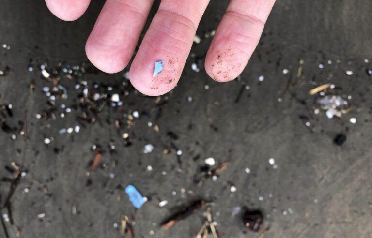 Microplastics: study warns of disease risks