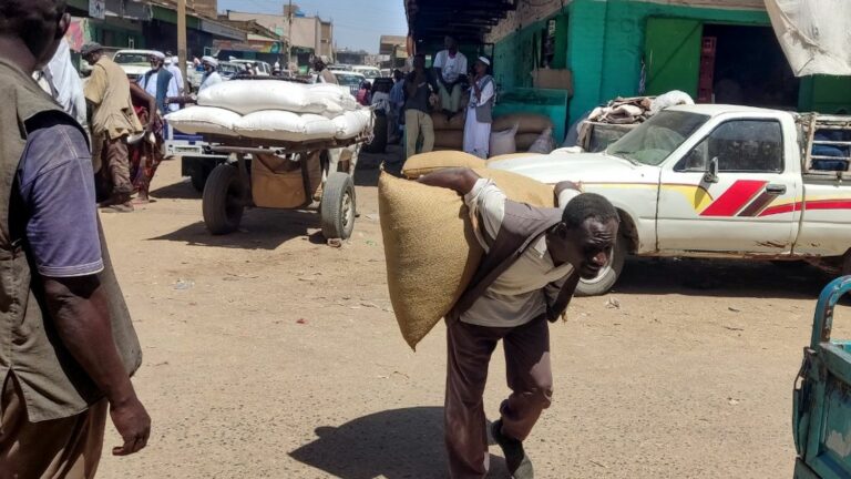 More than half of Sudanese face “acute food insecurity”, warns the UN