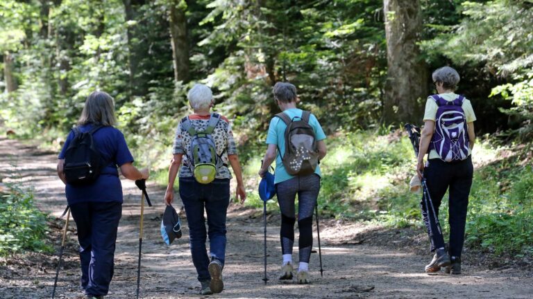 Our walks in the forest change the behavior of animals