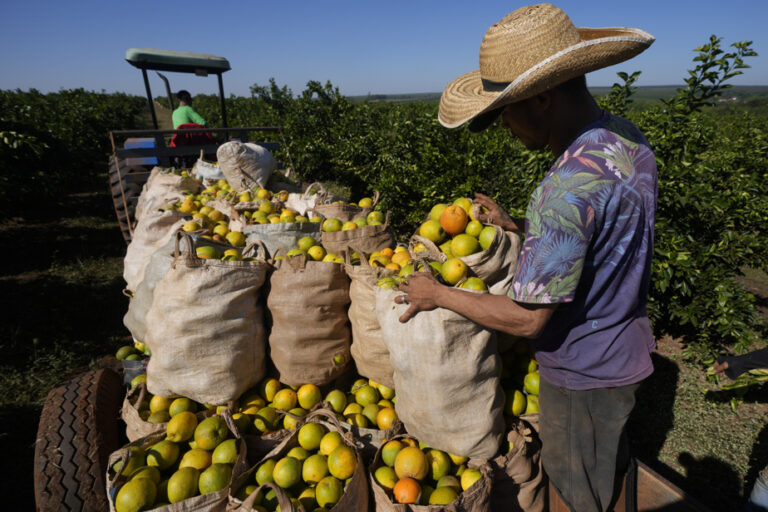 Poor harvests will drive up the price of orange juice