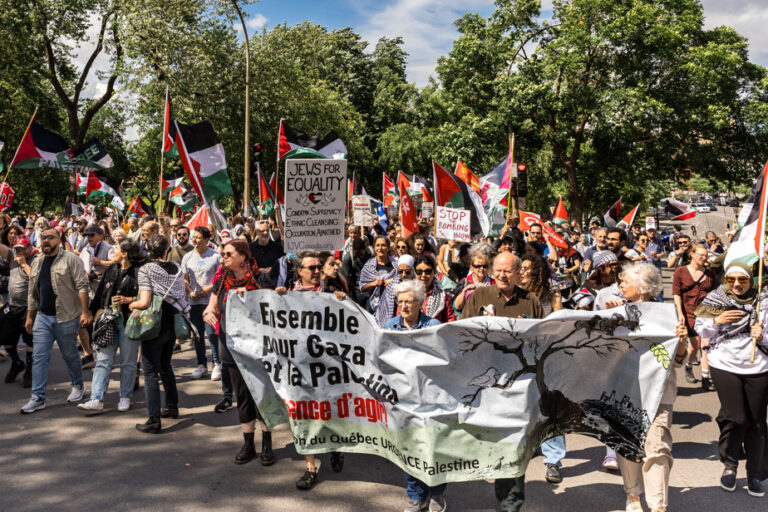 Pro-Palestinian demonstration in the streets of Montreal