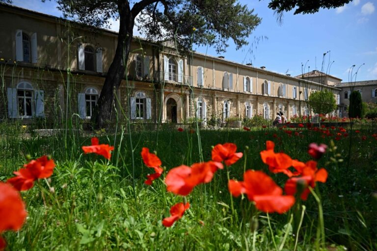 Provence |  Van Gogh still present in his former psychiatric asylum