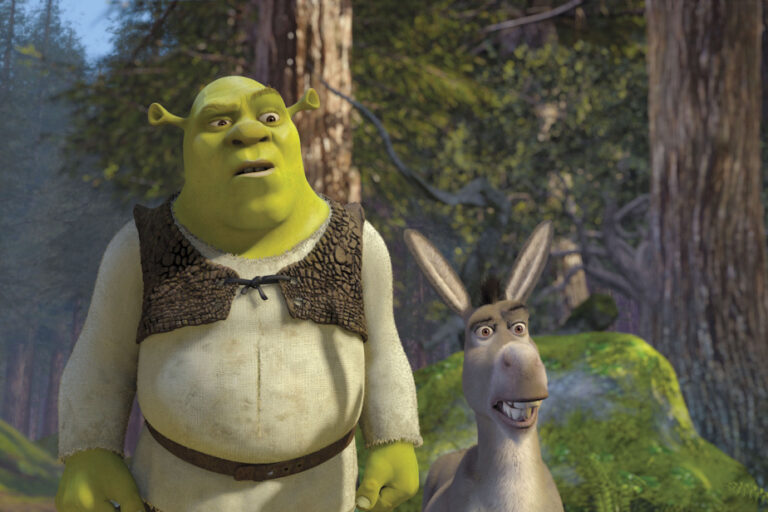 Shrek 5 |  Solo for a donkey