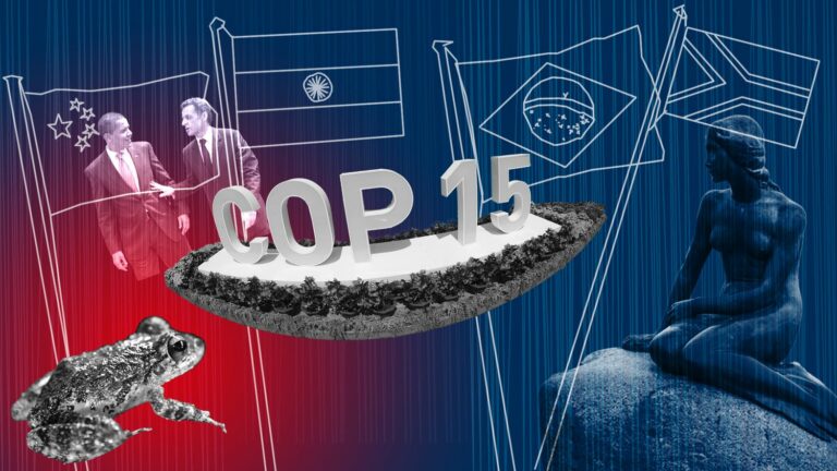 The COP15 fiasco in Copenhagen