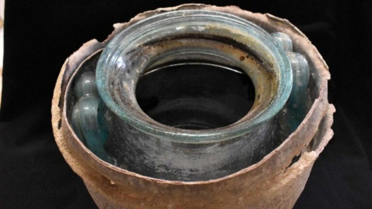 The oldest liquid wine in the world discovered in Spain