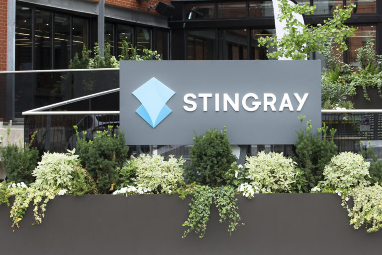 The wise investor |  A million buyer at Stingray