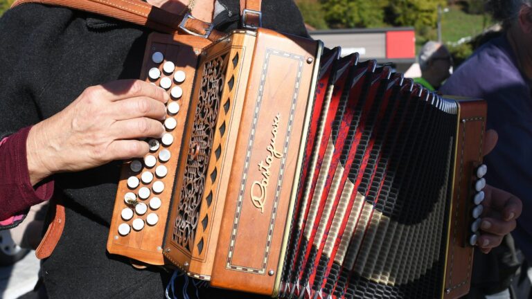 The world record for the longest accordion concert broken in the North