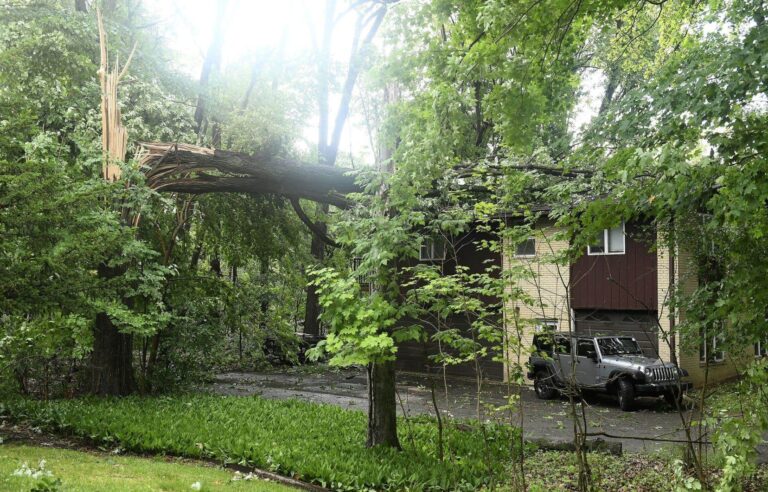 Tornado kills toddler in Michigan