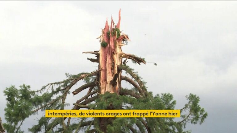 VIDEO. Violent storms swept across a large part of France on Saturday evening