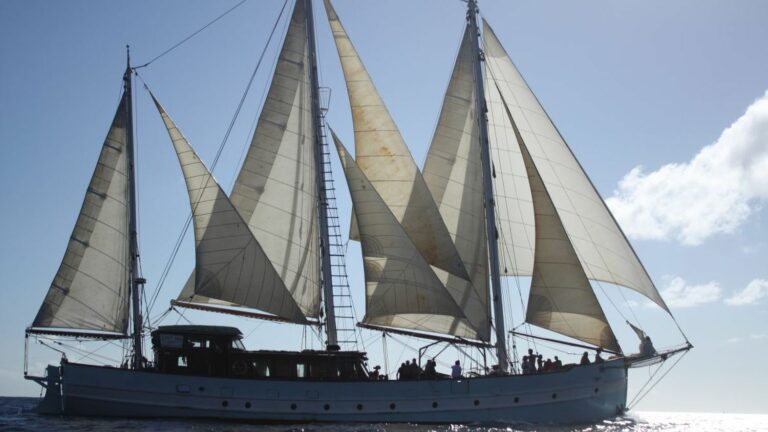 a crew of a French ship learns of the dissolution upon arriving in the Azores