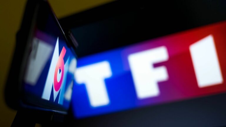 Why the legislative elections have an impact on the stock market shares of TF1 and M6