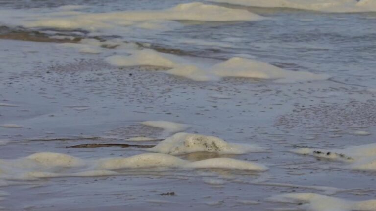 Wissant beach not recommended for swimming because it is too polluted according to a study