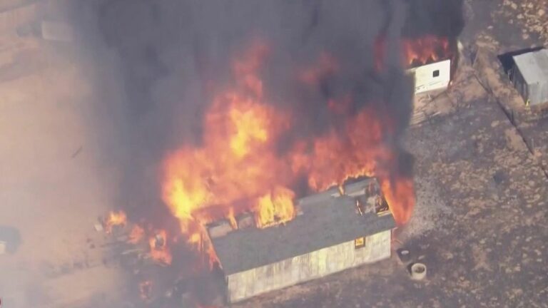 a fire ravages the surroundings of Los Angeles, more than 6,000 hectares already destroyed