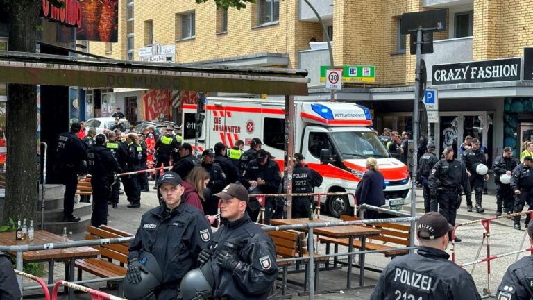 a man attacks the police with a pickaxe in Hamburg, on the sidelines of a Euro 2024 football match