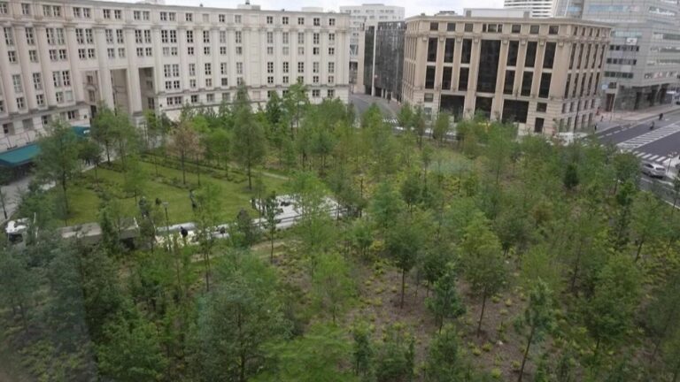 a micro-forest of 500 trees was inaugurated