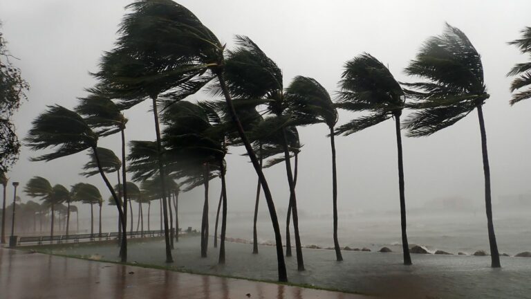 an American laboratory simulates a hurricane to better study the phenomenon