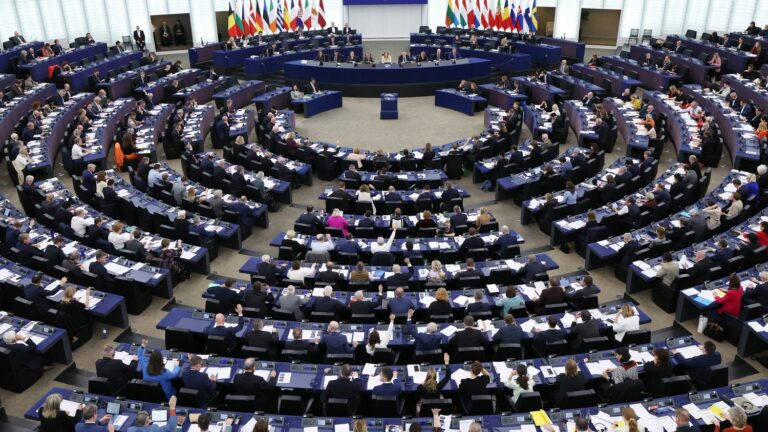 composition of groups, European Council, plenary session… What are the next steps after the election of MEPs?