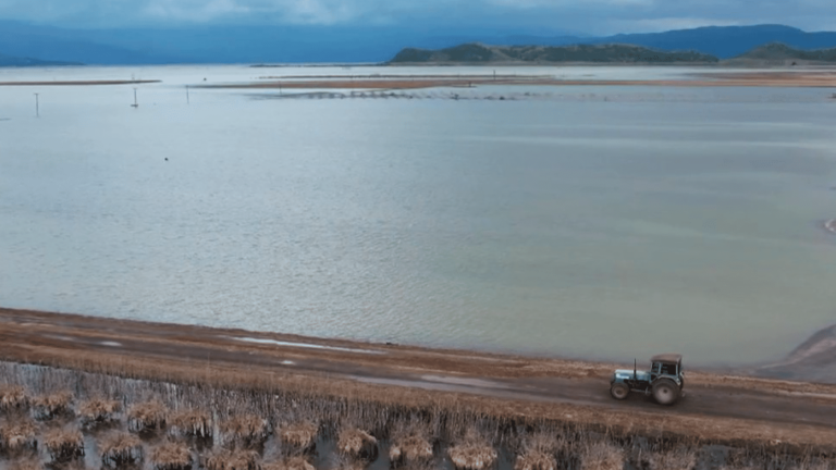 crops submerged under water for nine months