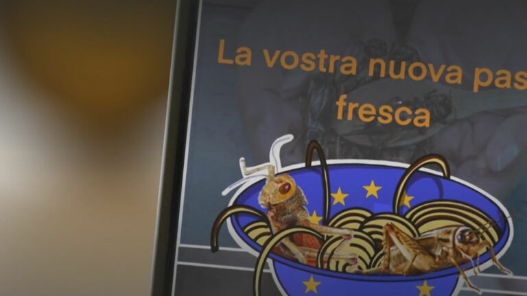 is Europe threatening Italian gastronomy, as the Meloni government claims?