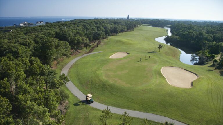 llamas invite themselves onto the golf courses