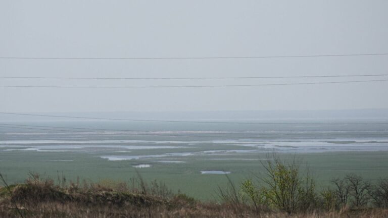 one year after the destruction of the Kakhovka dam, an upset ecosystem and fears for the future