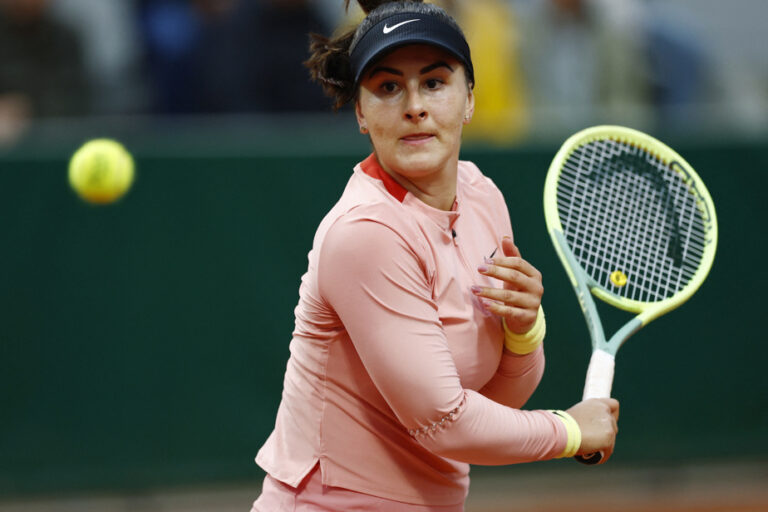 ‘s-Hertogenbosch tournament |  Bianca Andreescu loses in final