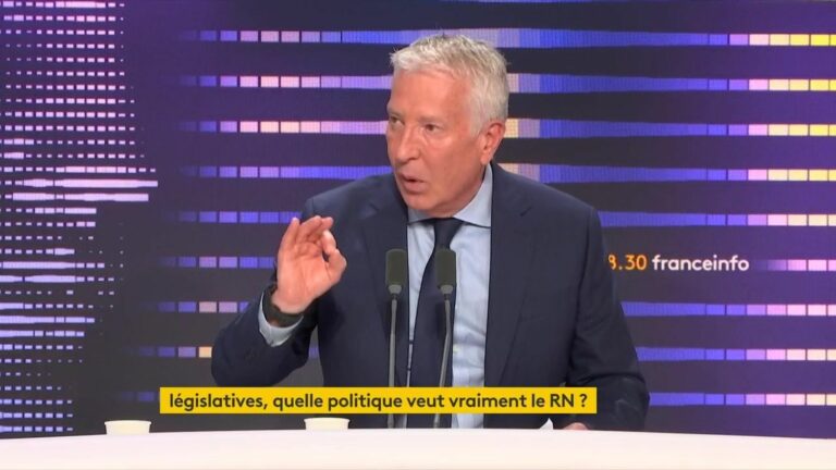 the RN imagines TF1 or M6 “buying all or part of France 2 or France 3” to no longer be “dwarfs” in the face of the digital giants