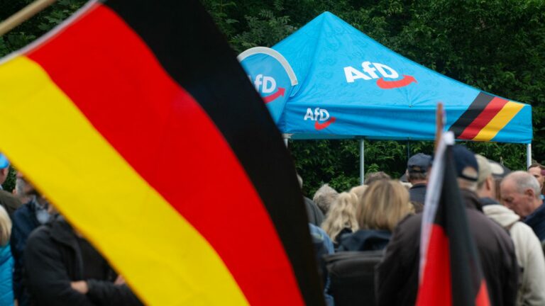 the far-right AfD party denounces an attack suffered by one of its candidates